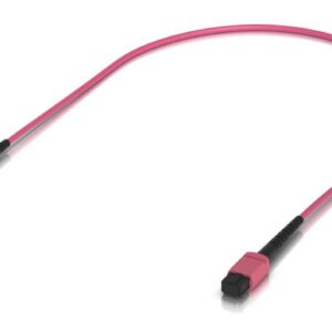 Indoor OM4 multi-mode fiber patch cable with MPO-12 Type
