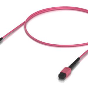 Indoor OM4 multi-mode fiber patch cable with MPO-12 Type