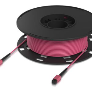 Indoor OM4 multi-mode fiber patch cable with MPO-12 Type